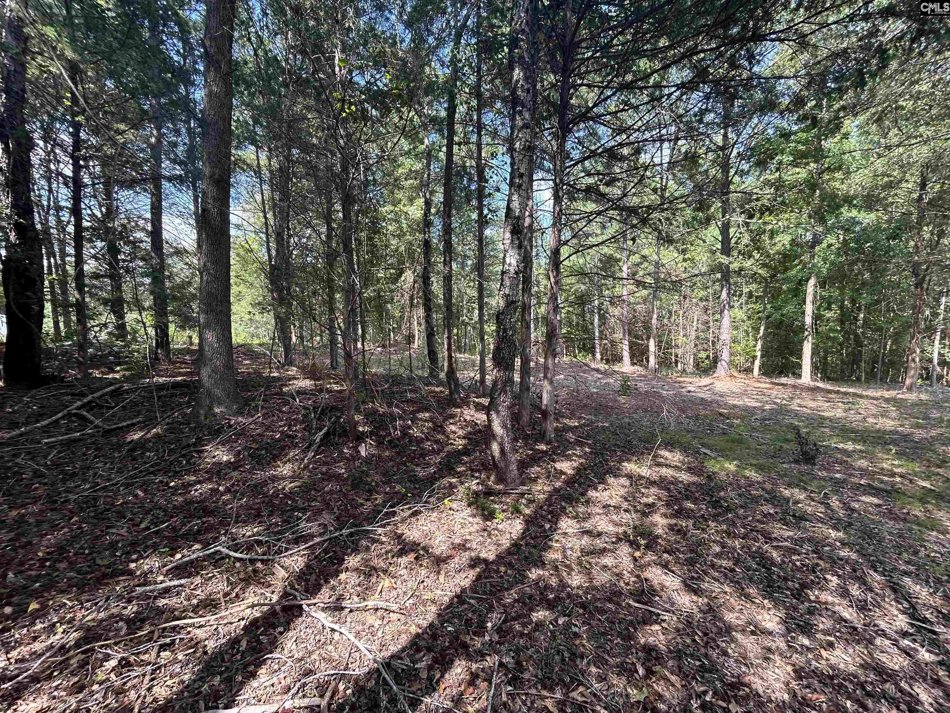 5630 Woodsferry Road, Carlisle, South Carolina image 12