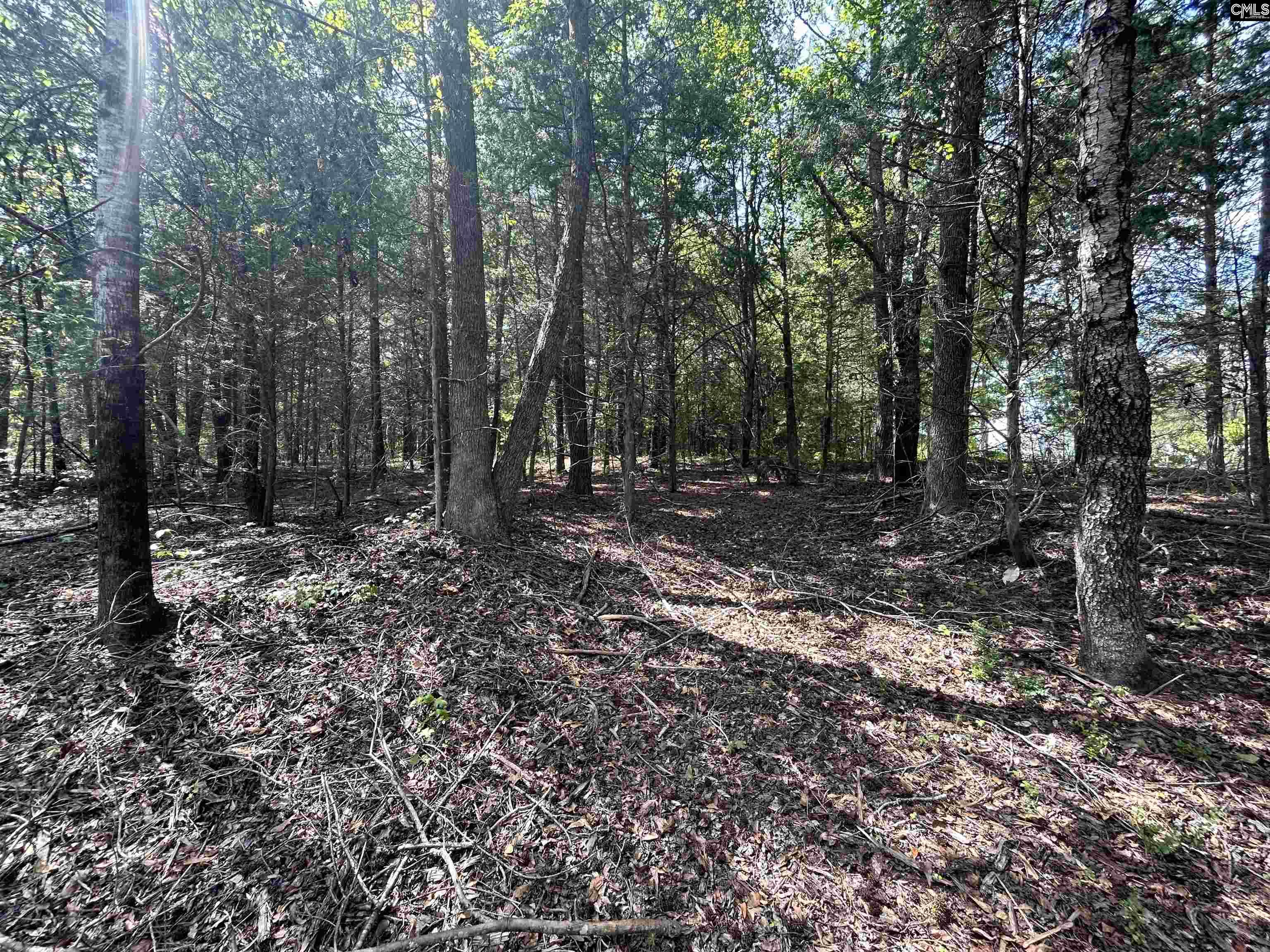 5630 Woodsferry Road, Carlisle, South Carolina image 13