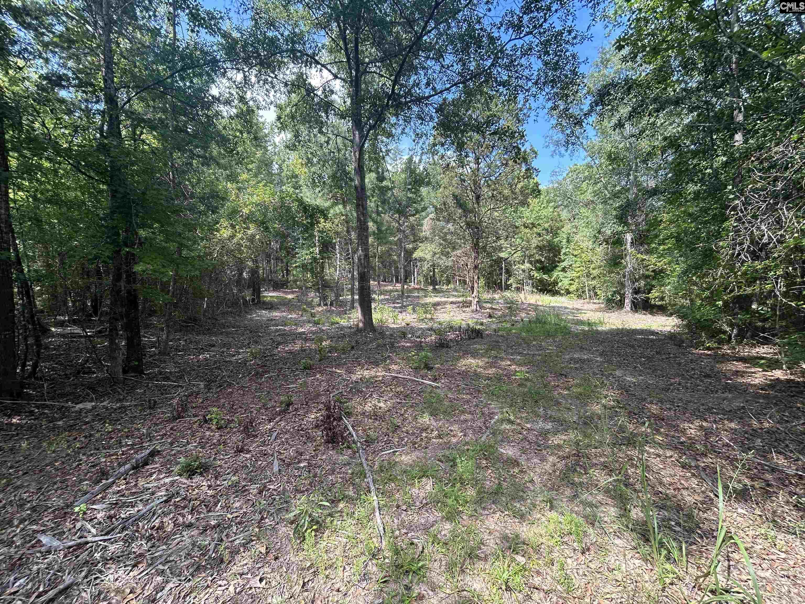 5630 Woodsferry Road, Carlisle, South Carolina image 15