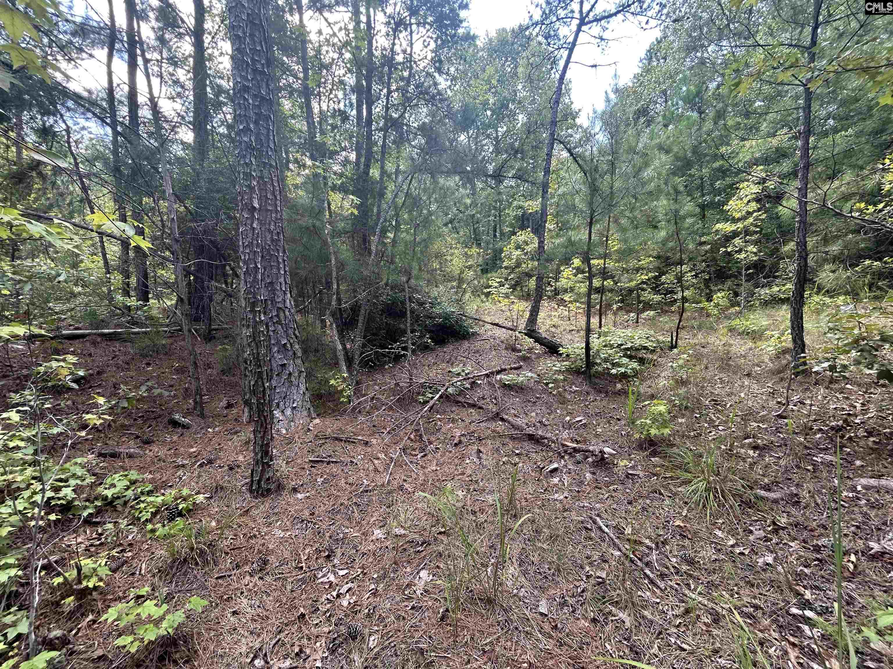 5630 Woodsferry Road, Carlisle, South Carolina image 16