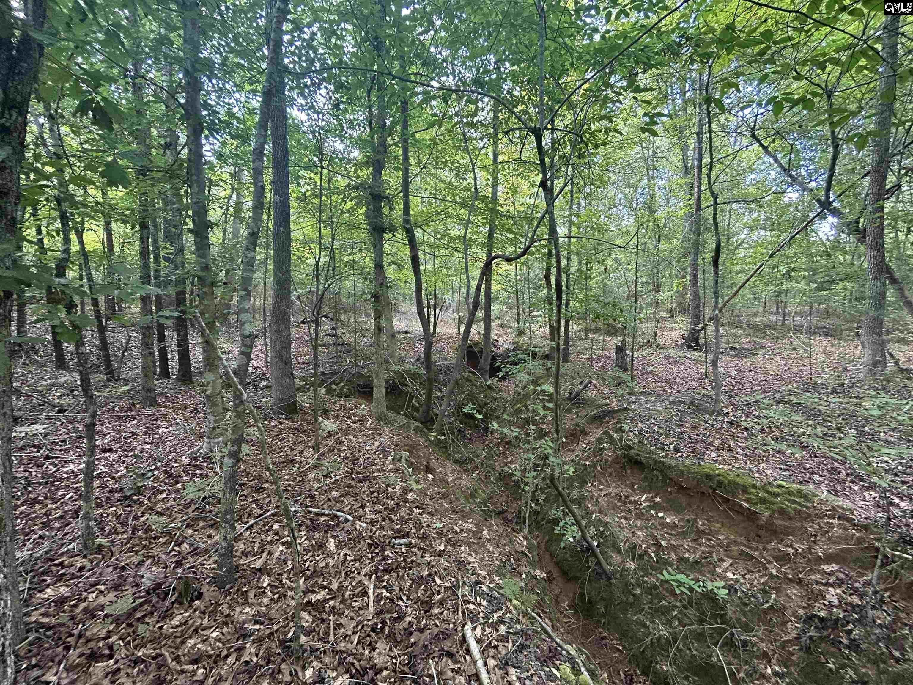 5630 Woodsferry Road, Carlisle, South Carolina image 17