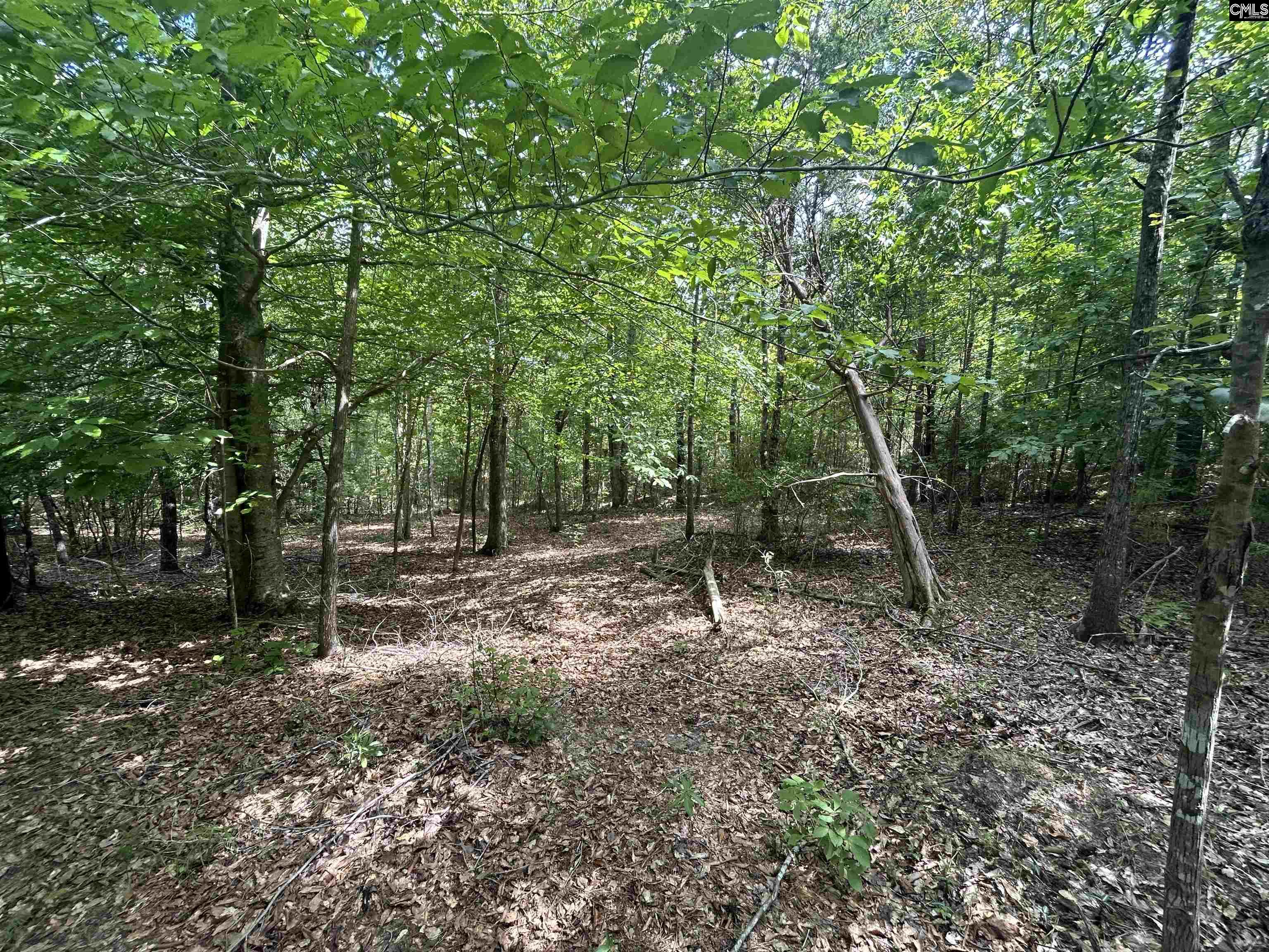 5630 Woodsferry Road, Carlisle, South Carolina image 19