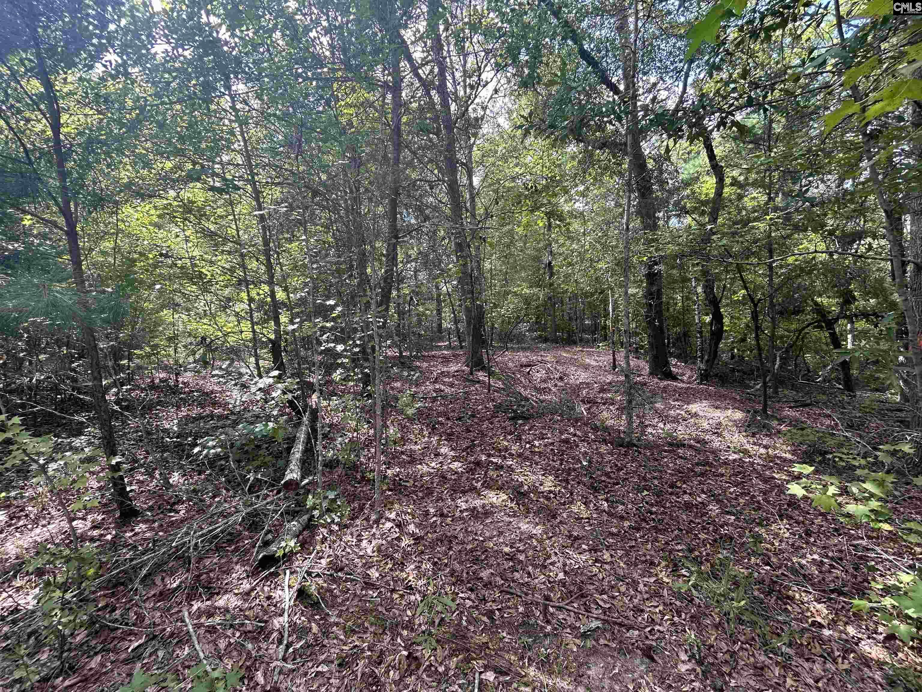 5630 Woodsferry Road, Carlisle, South Carolina image 20