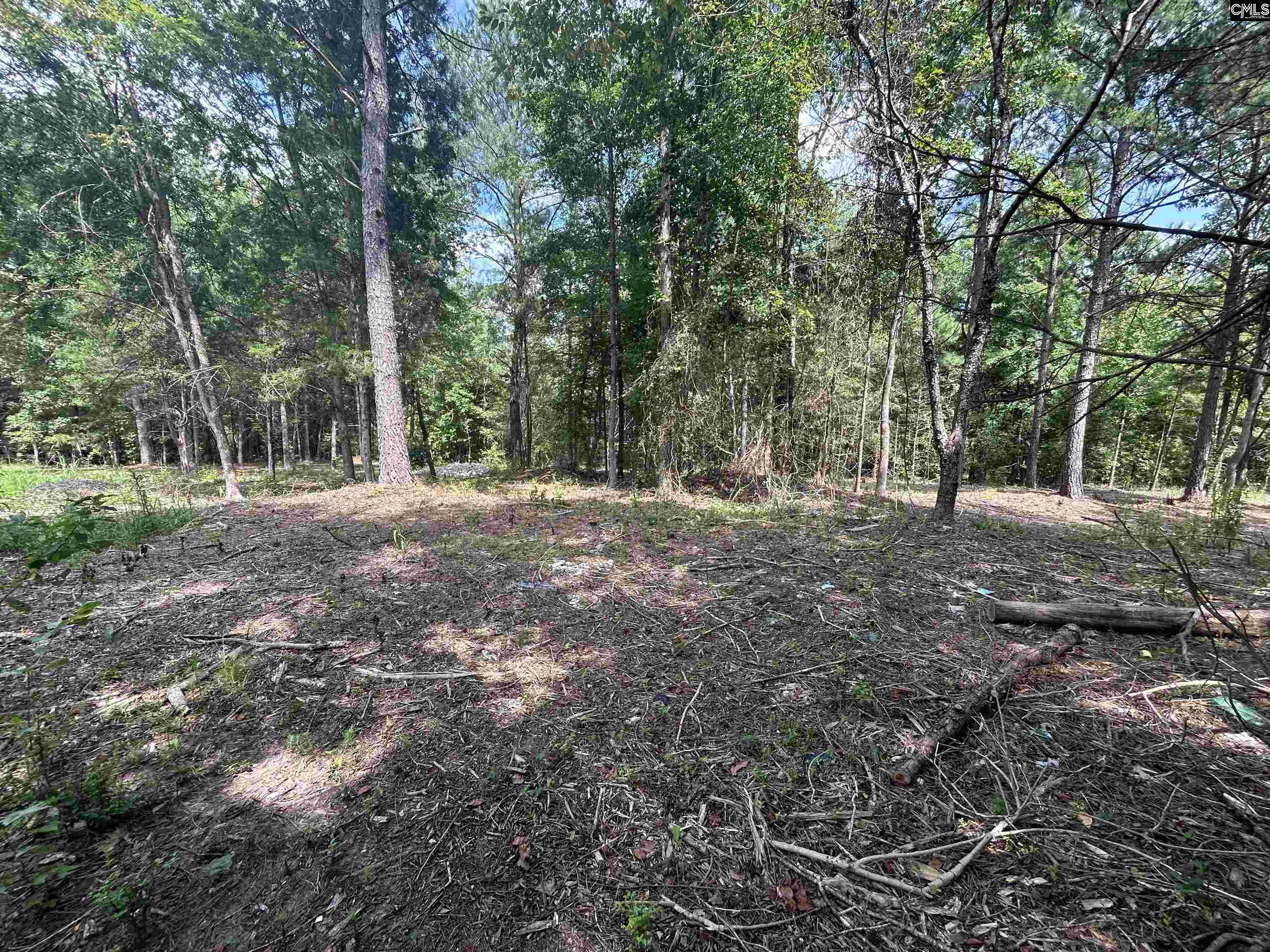 5630 Woodsferry Road, Carlisle, South Carolina image 21