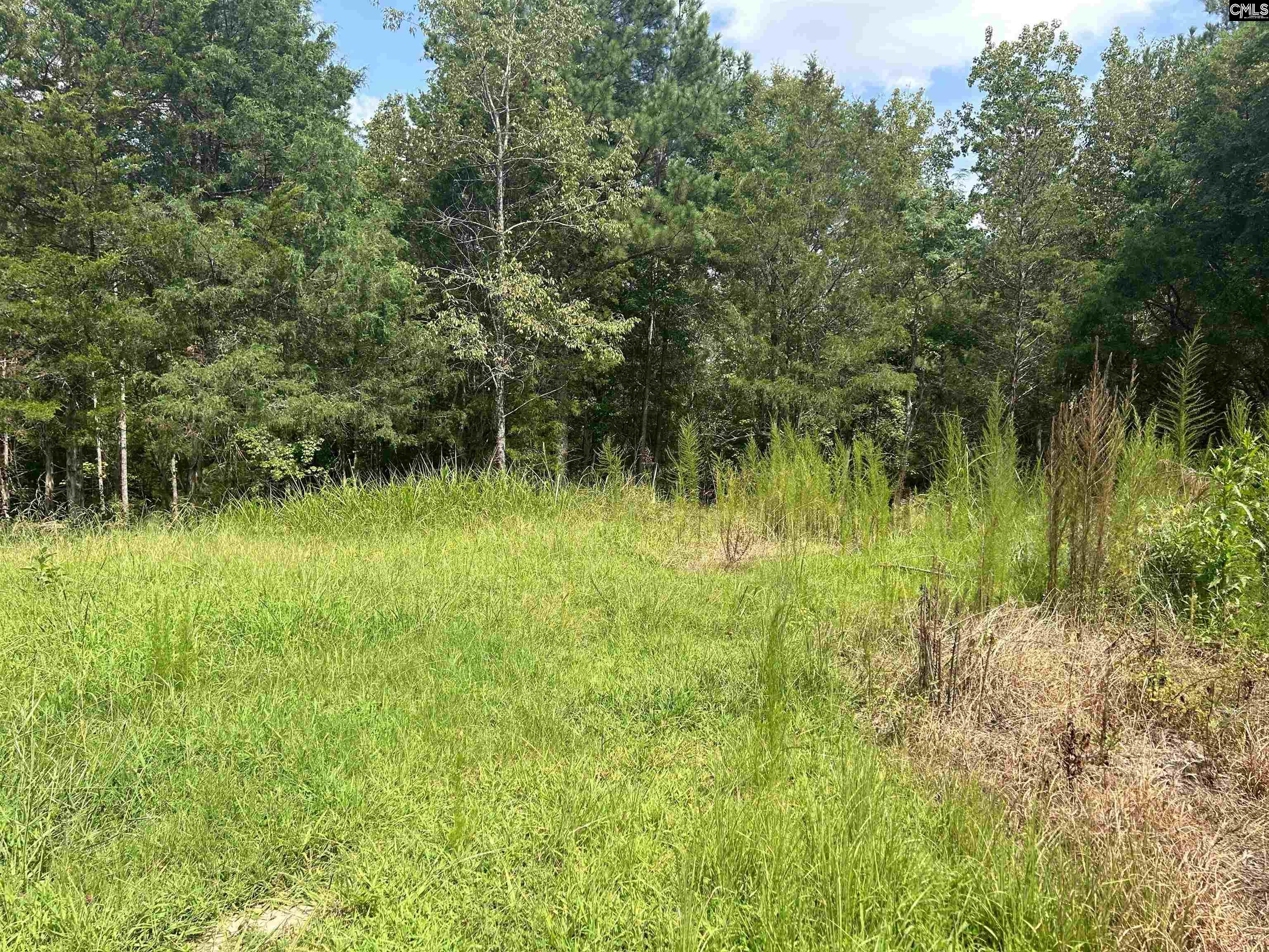 5630 Woodsferry Road, Carlisle, South Carolina image 22