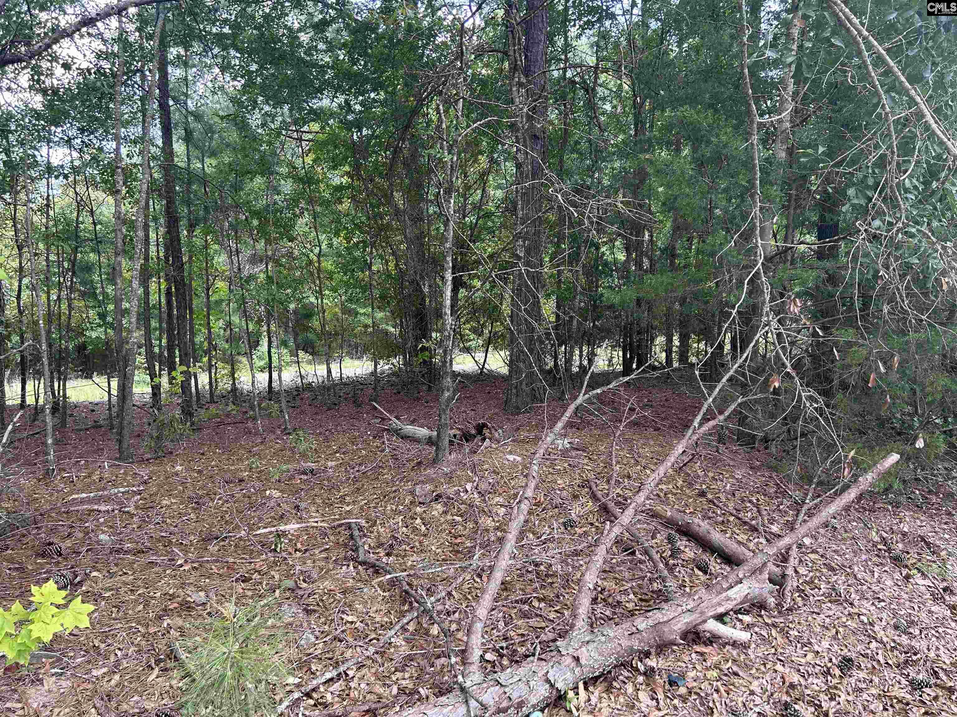5630 Woodsferry Road, Carlisle, South Carolina image 25