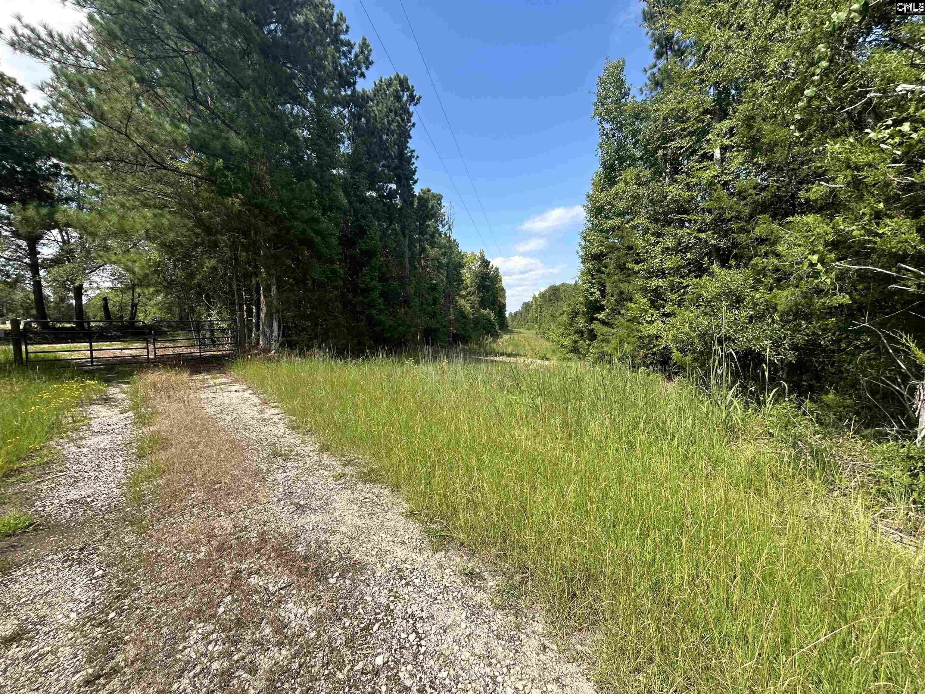 5630 Woodsferry Road, Carlisle, South Carolina image 6
