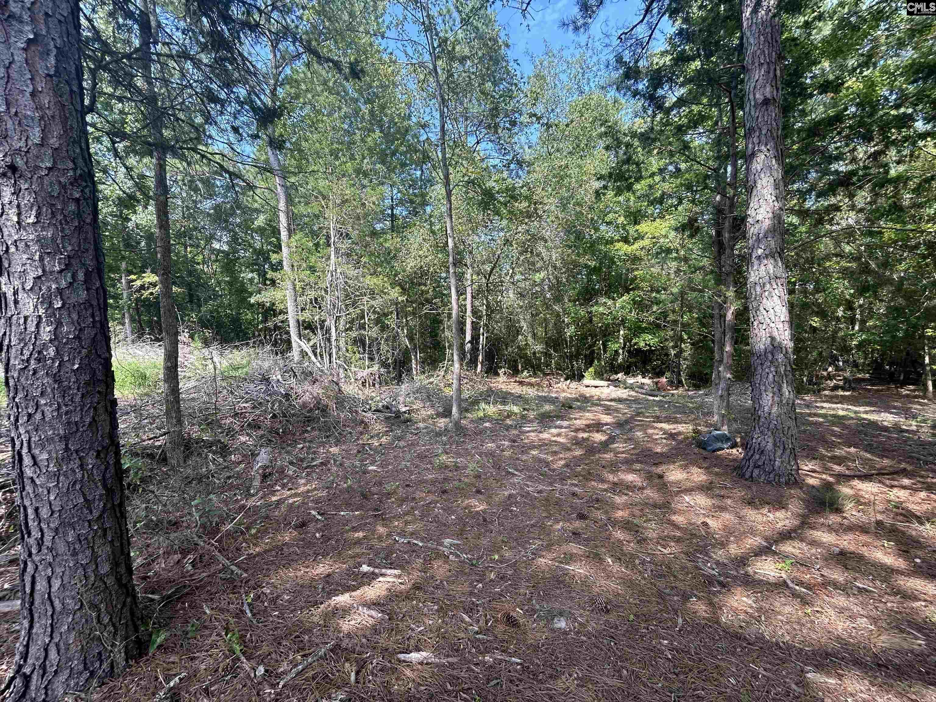 5630 Woodsferry Road, Carlisle, South Carolina image 7
