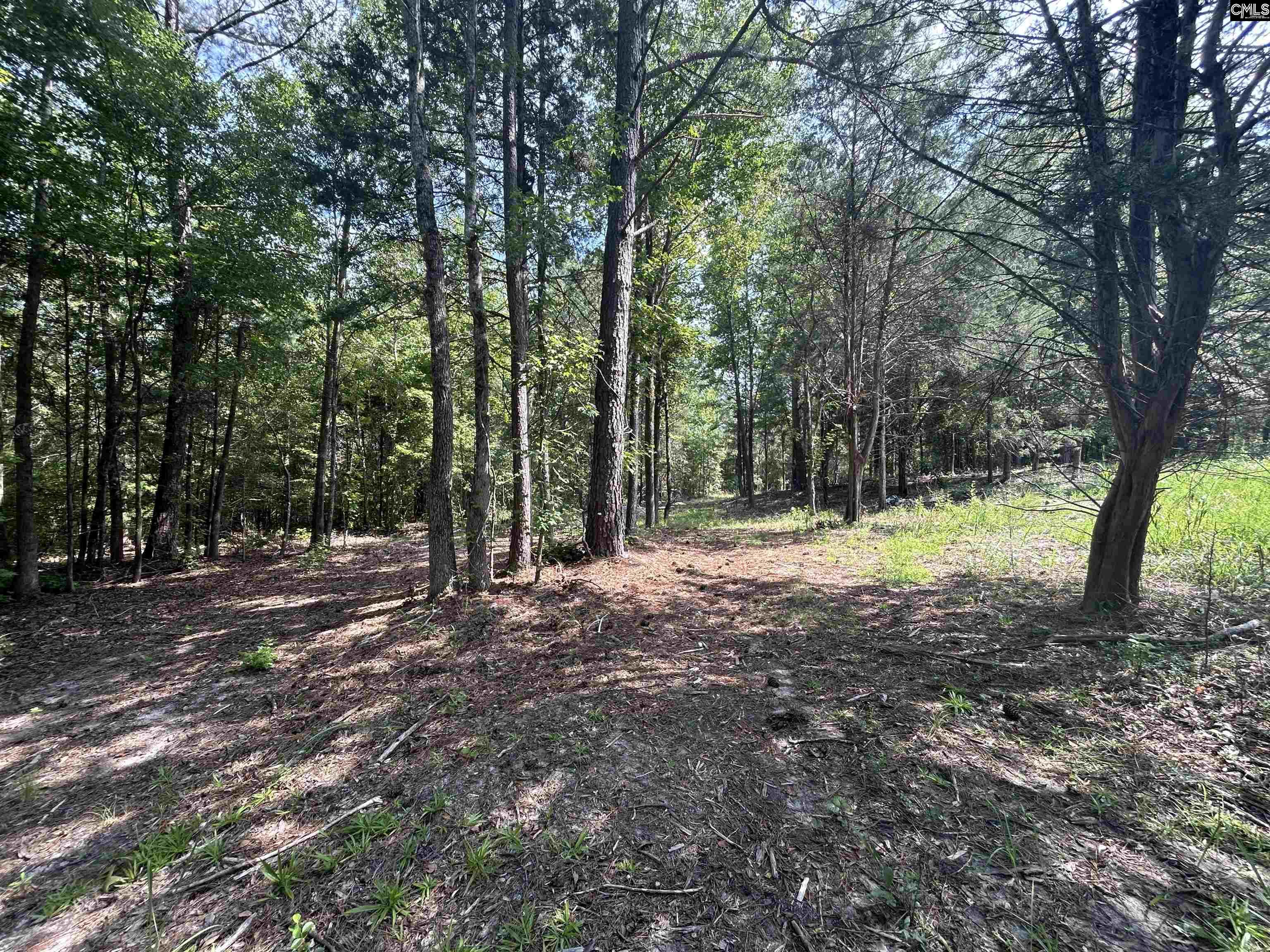 5630 Woodsferry Road, Carlisle, South Carolina image 8