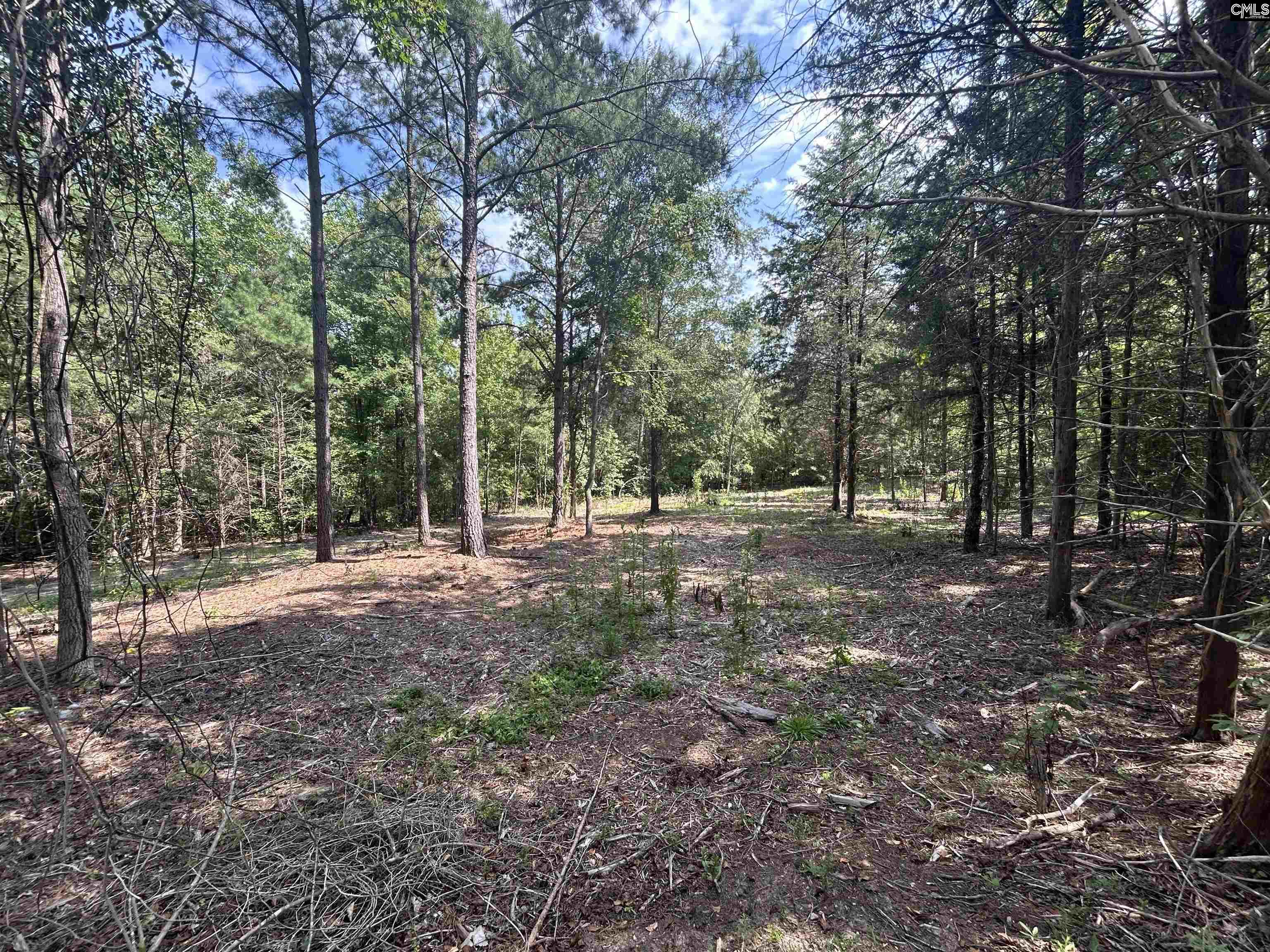5630 Woodsferry Road, Carlisle, South Carolina image 9