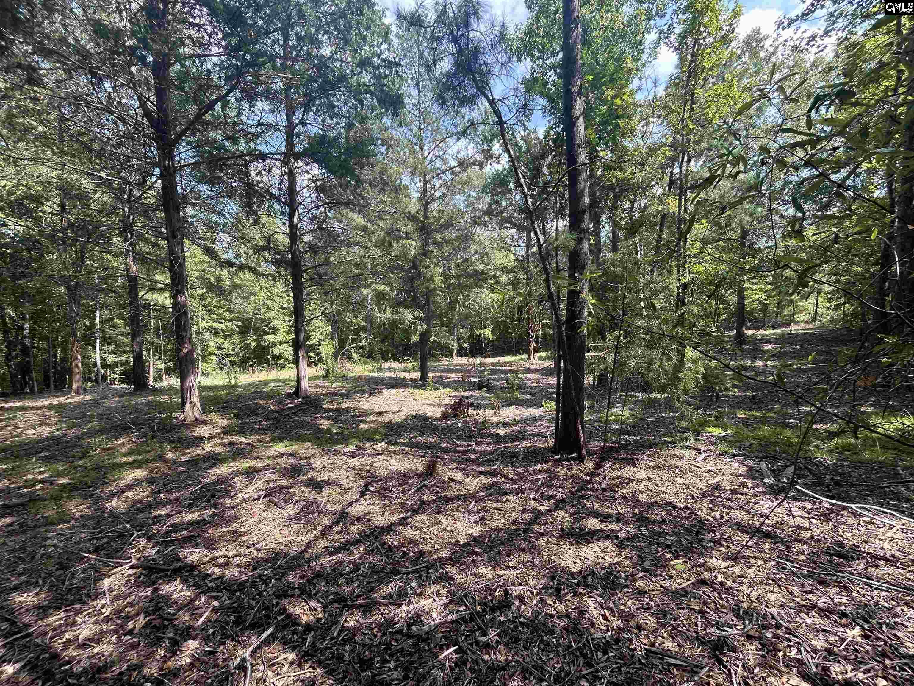 5630 Woodsferry Road, Carlisle, South Carolina image 10