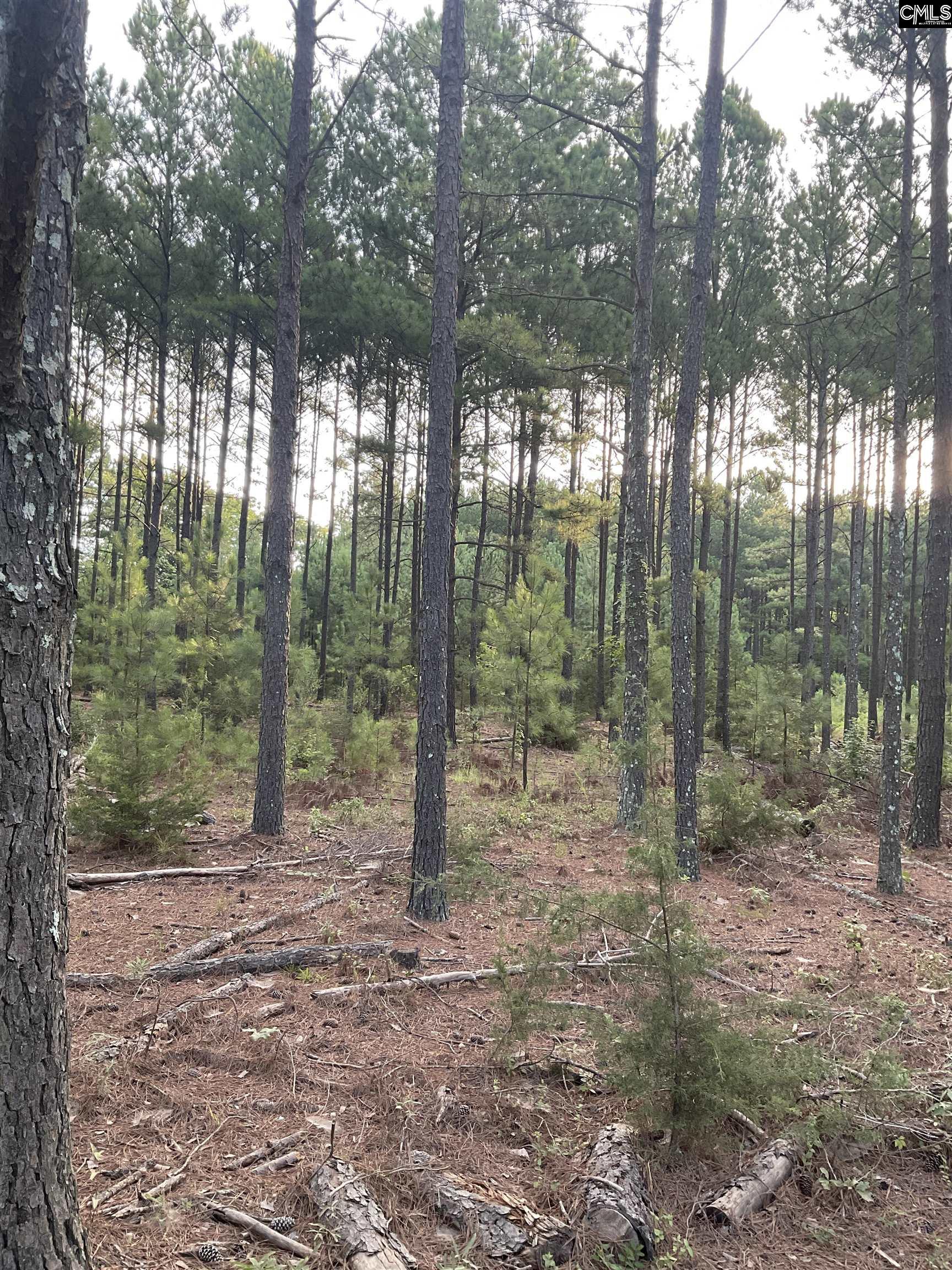 438 Old Bush River Road Unit B Chapin, SC 29036