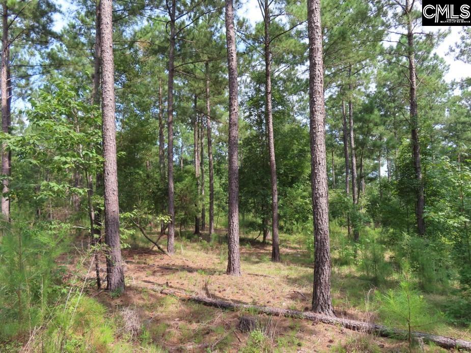 Evergreen Road Unit #1 Winnsboro, SC 29180