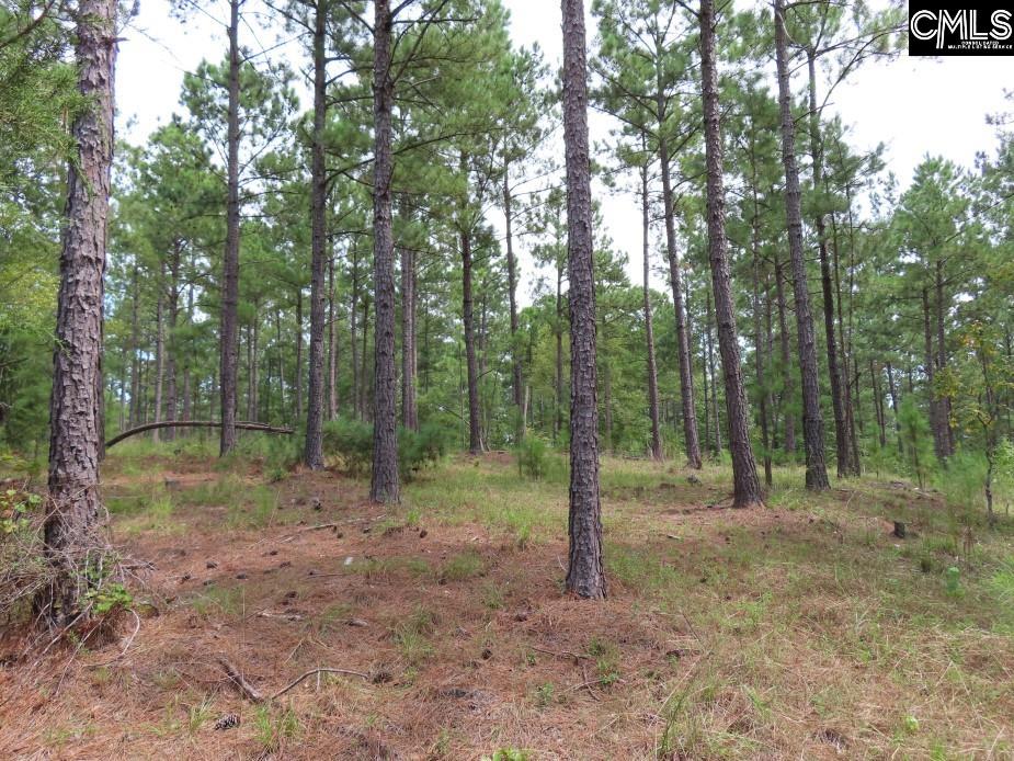 Evergreen Road Unit #2 Winnsboro, SC 29180