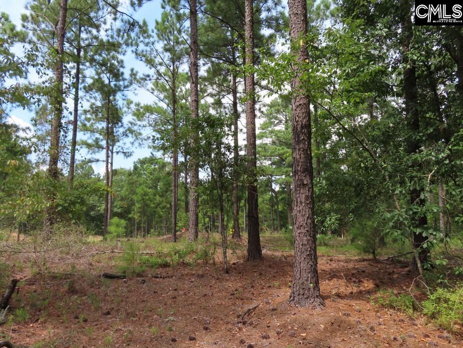 Honey Bee Circle Unit #3 Winnsboro, SC 29180