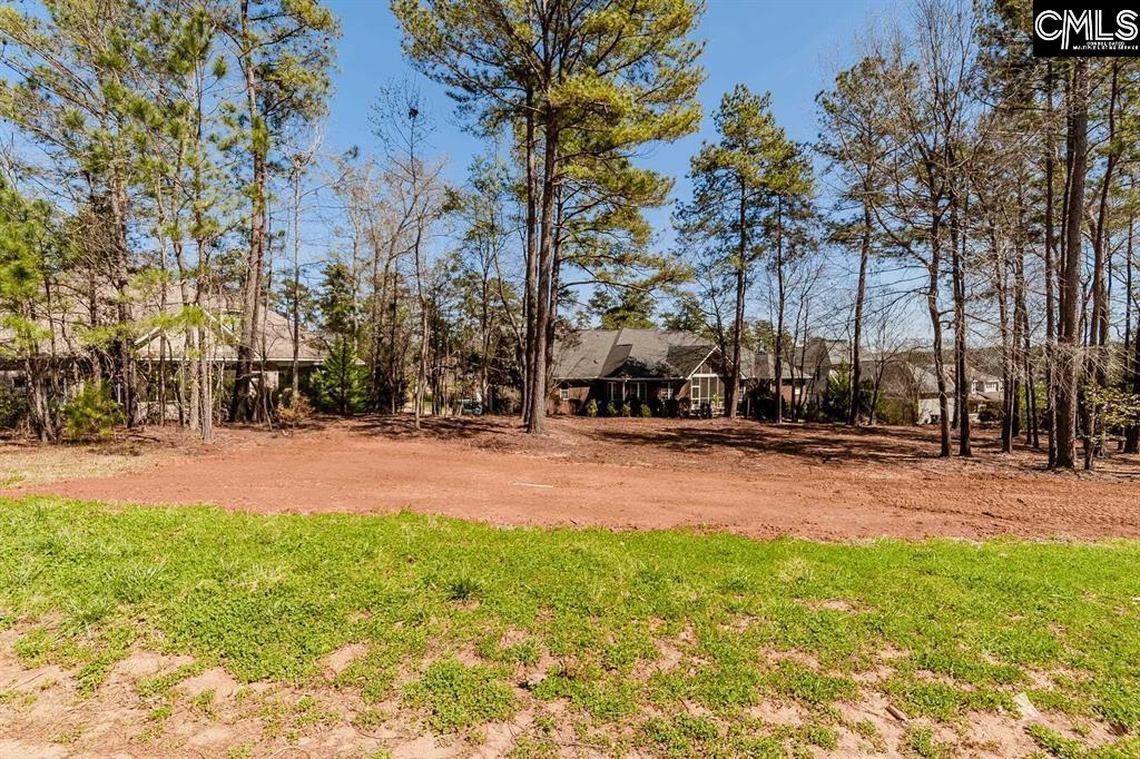 145 Clayborn Drive Lexington, SC 29072