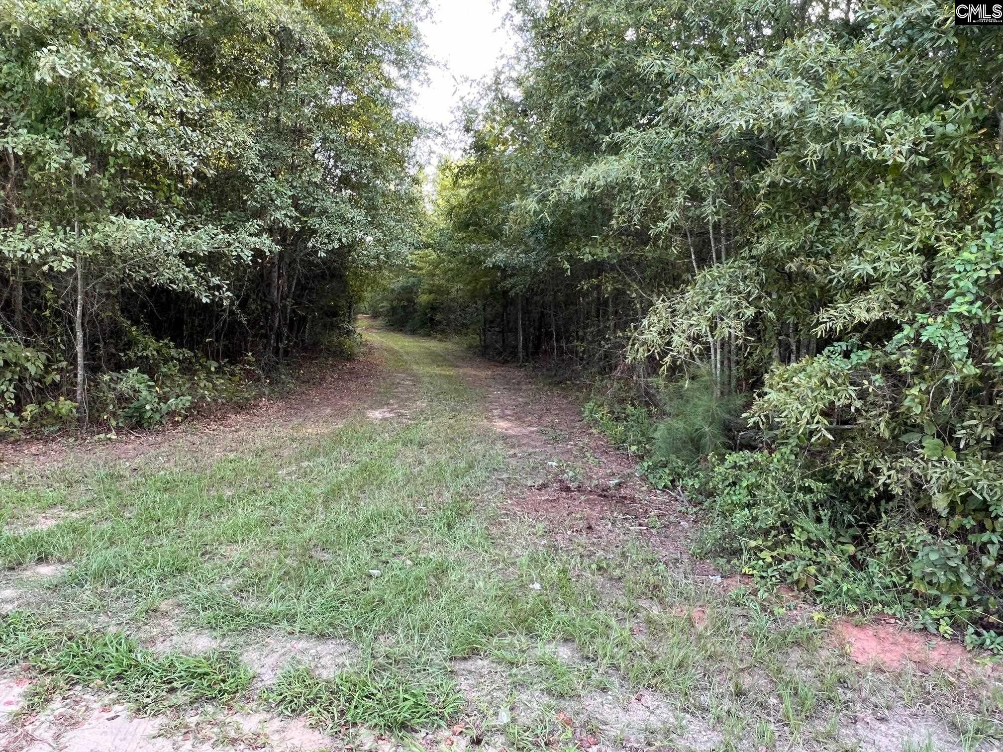 Irving Road Unit #1 Monetta, SC 29105