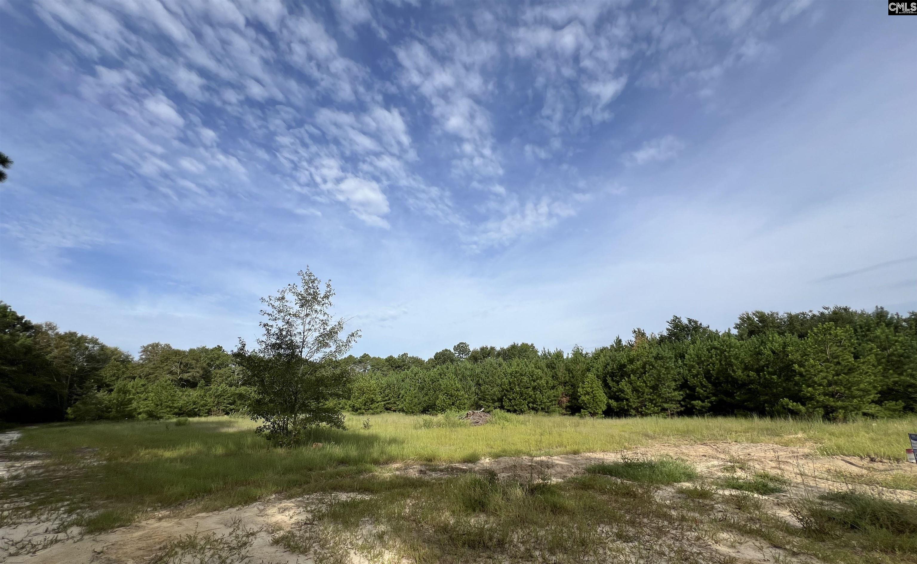 Wise Field Road Lexington, SC 29073