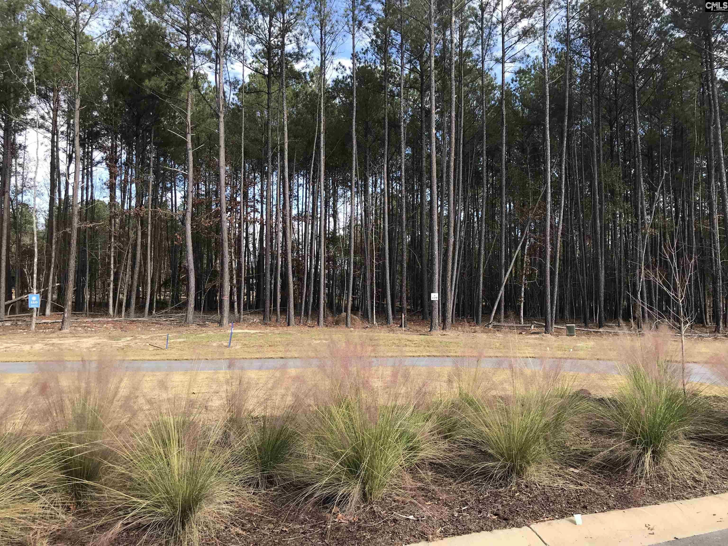 Lot 109 Stewart Landing Drive Unit #109 Prosperity, SC 29127