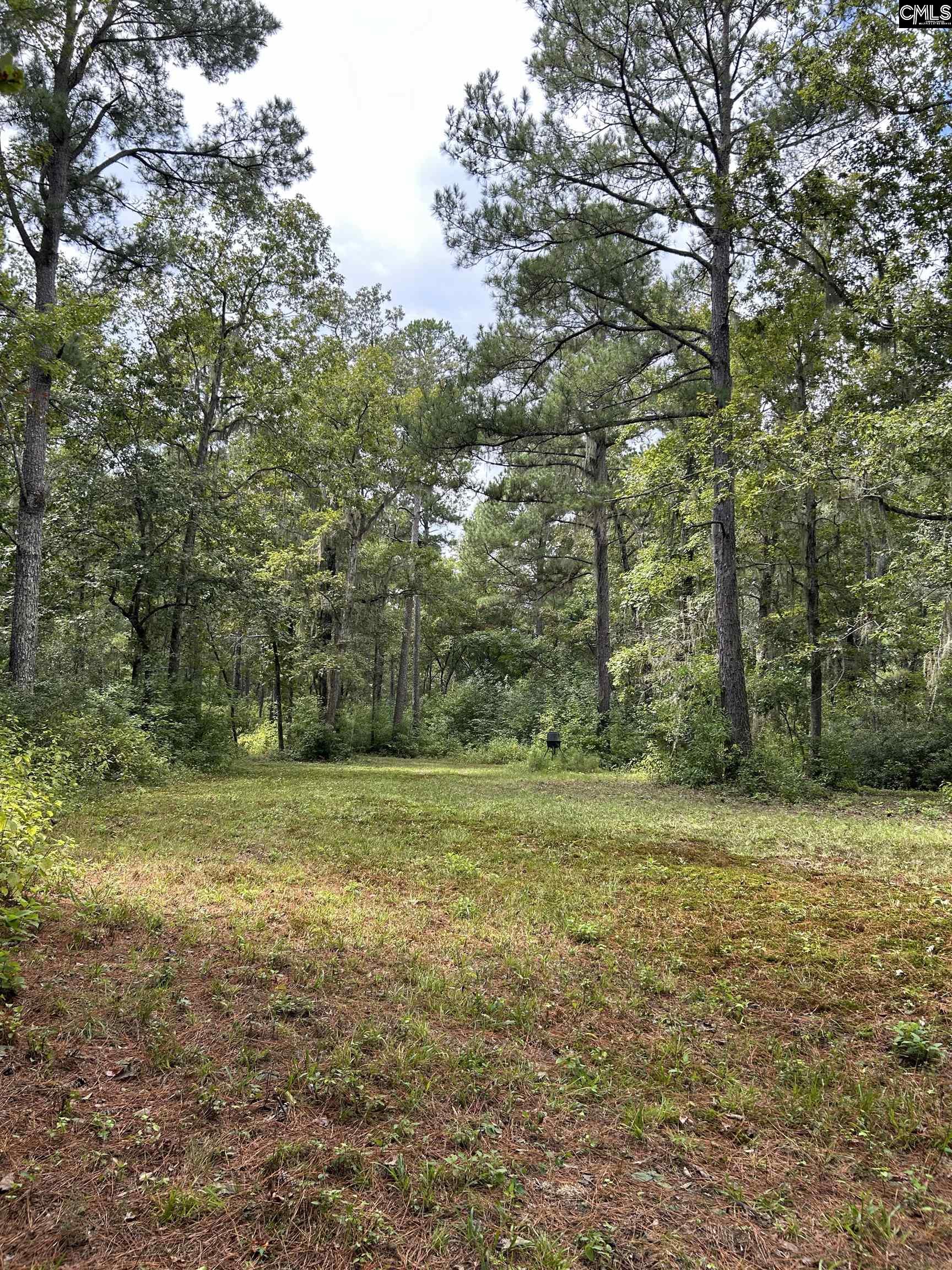 8200 Salem Road, New Zion, South Carolina image 1