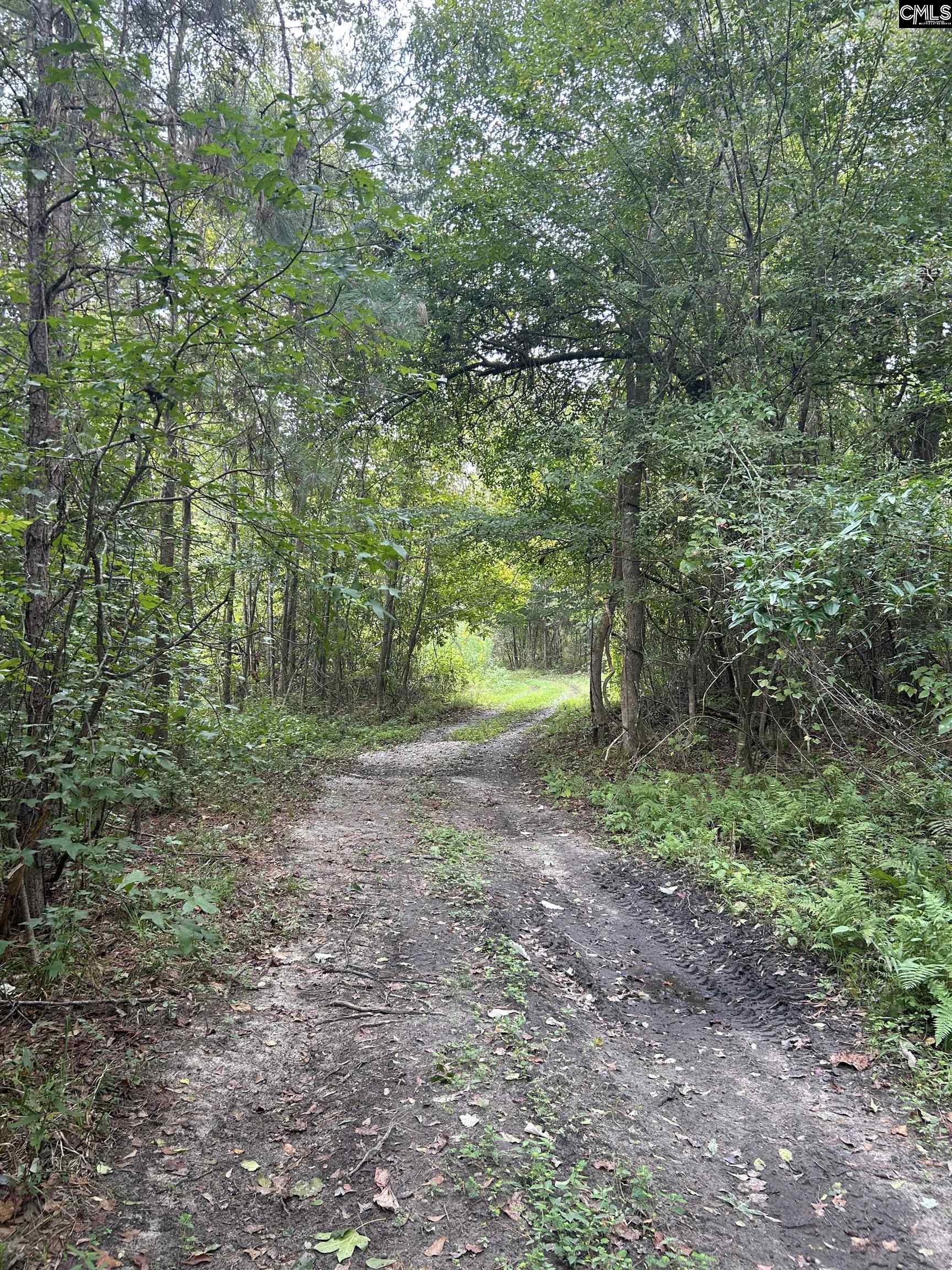 8200 Salem Road, New Zion, South Carolina image 2