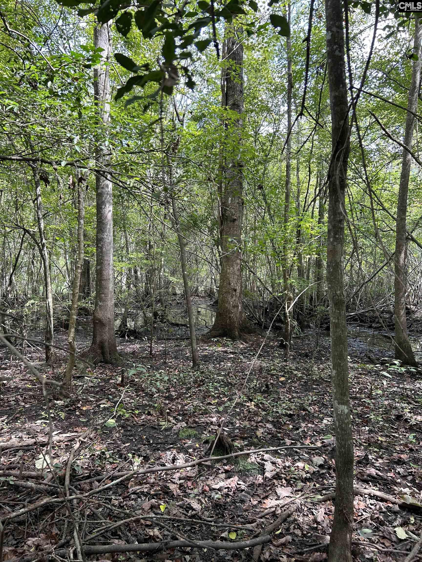 8200 Salem Road, New Zion, South Carolina image 11