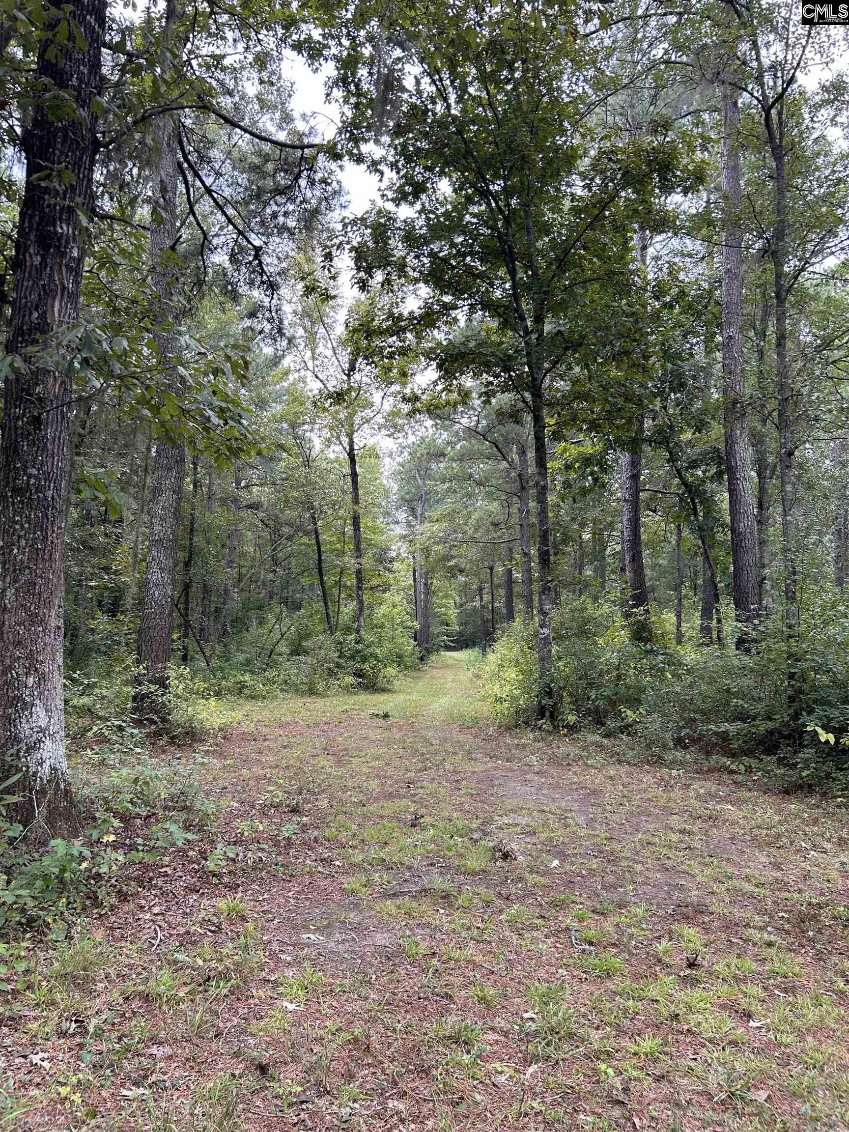 8200 Salem Road, New Zion, South Carolina image 12
