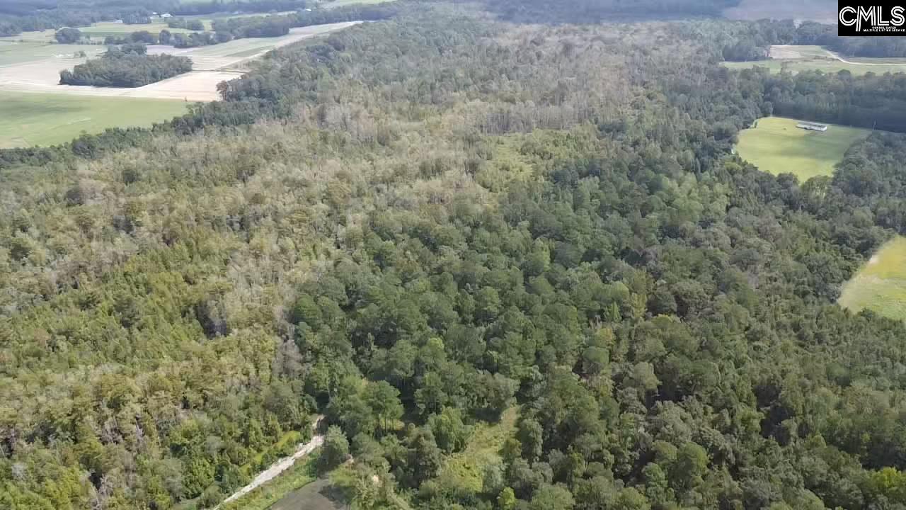 8200 Salem Road, New Zion, South Carolina image 14