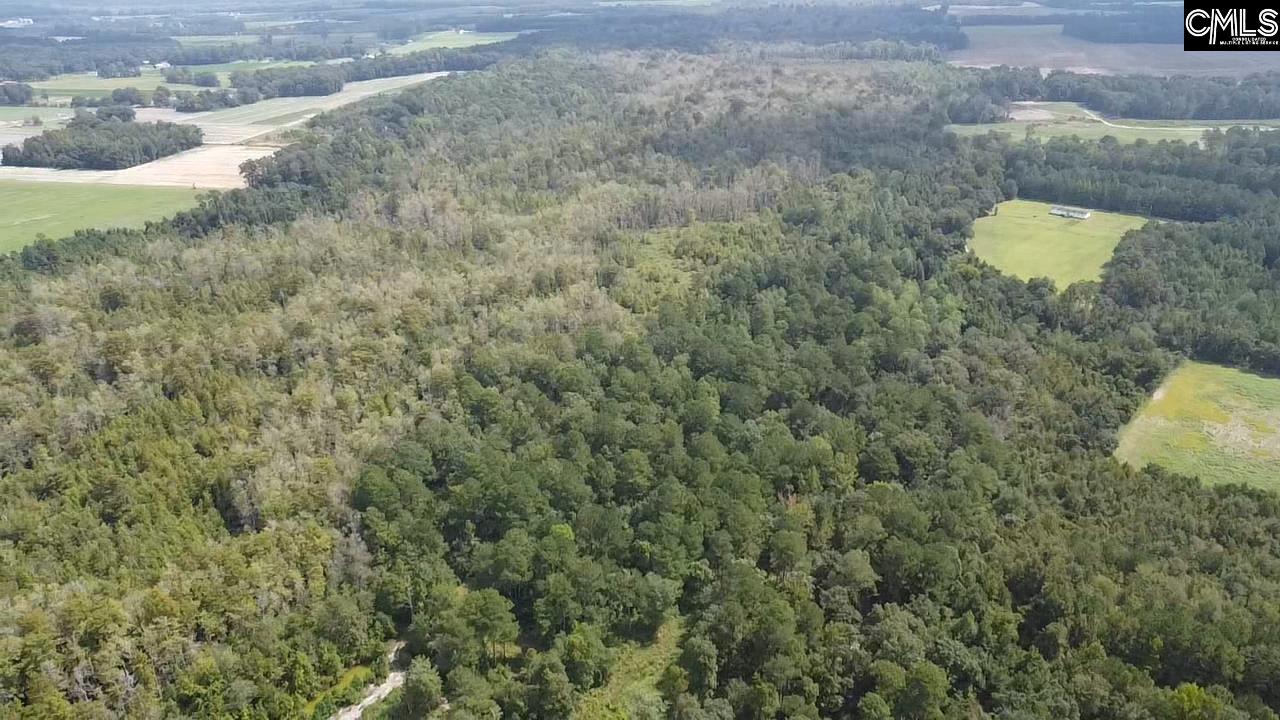 8200 Salem Road, New Zion, South Carolina image 17