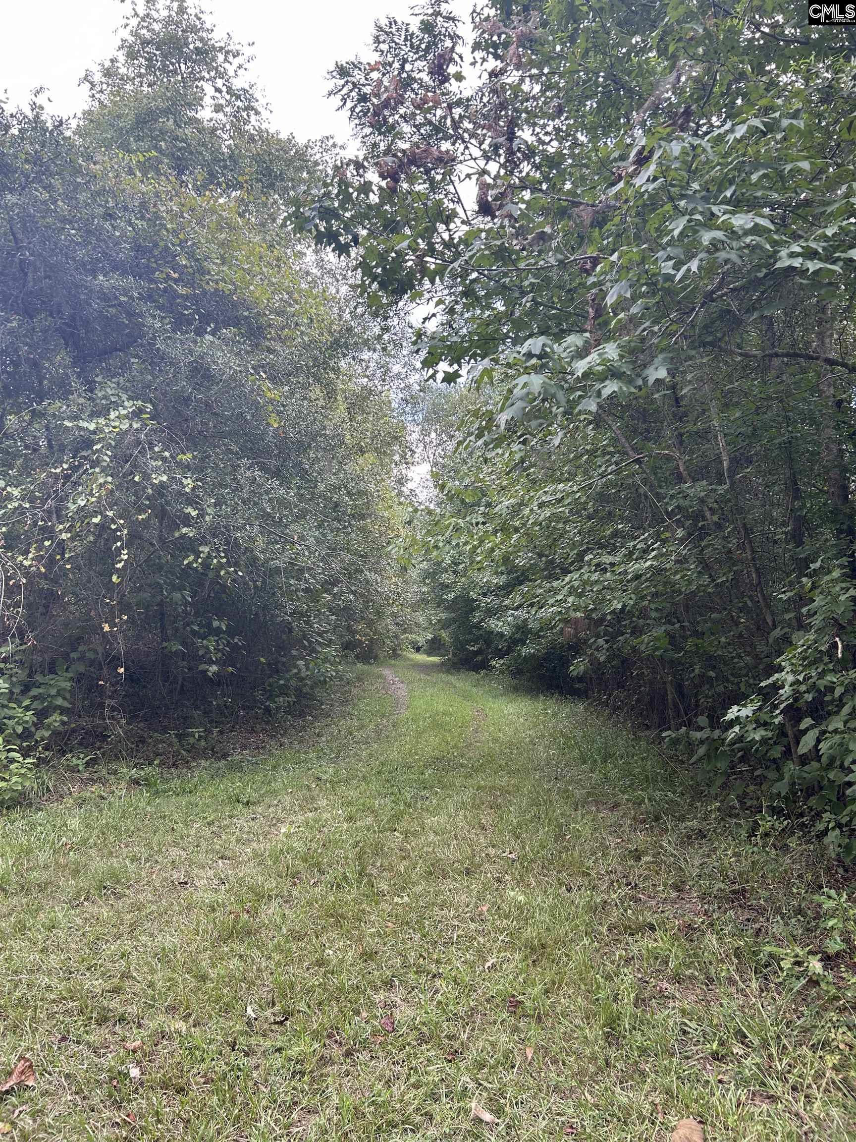 8200 Salem Road, New Zion, South Carolina image 3