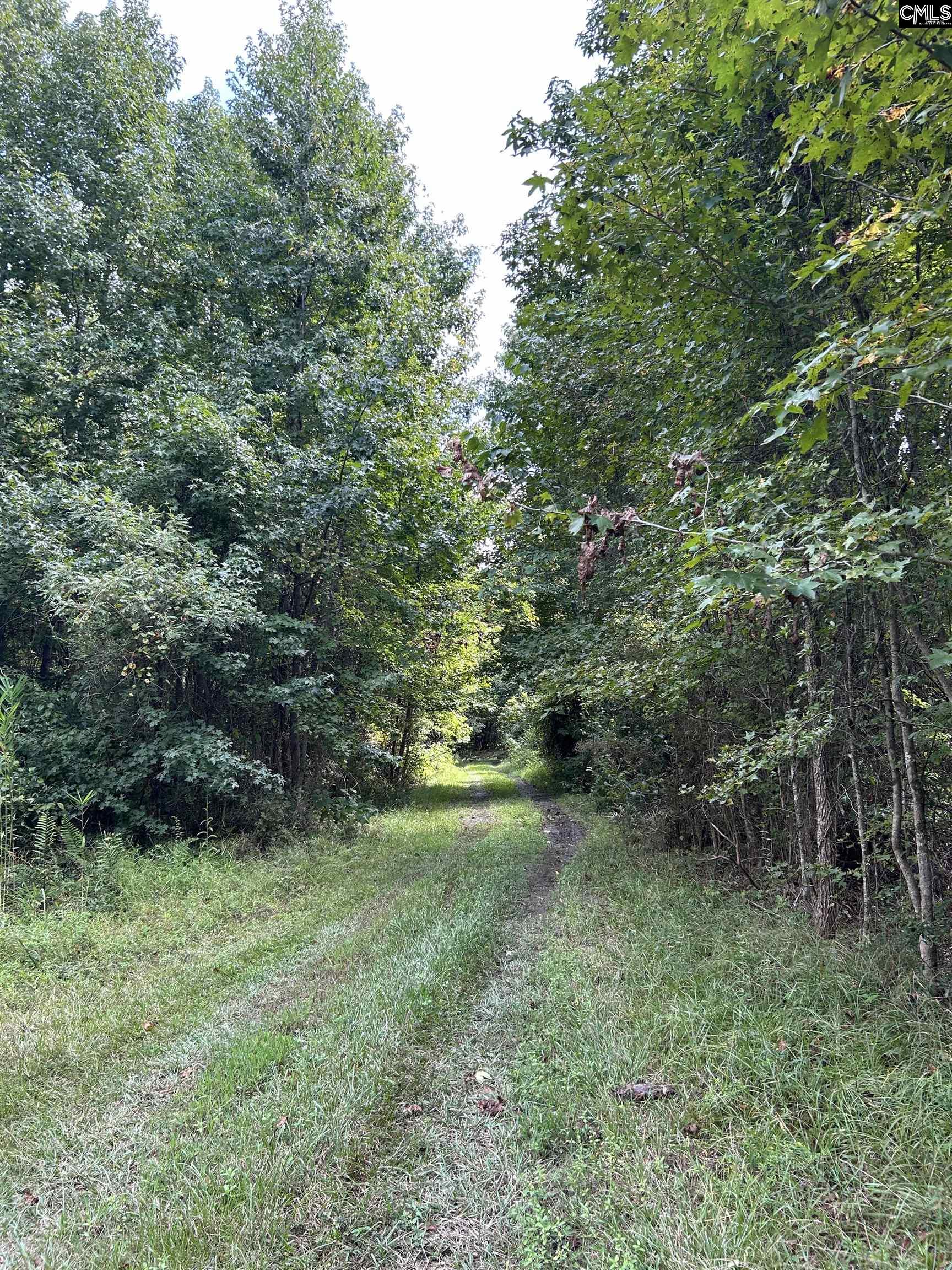 8200 Salem Road, New Zion, South Carolina image 6