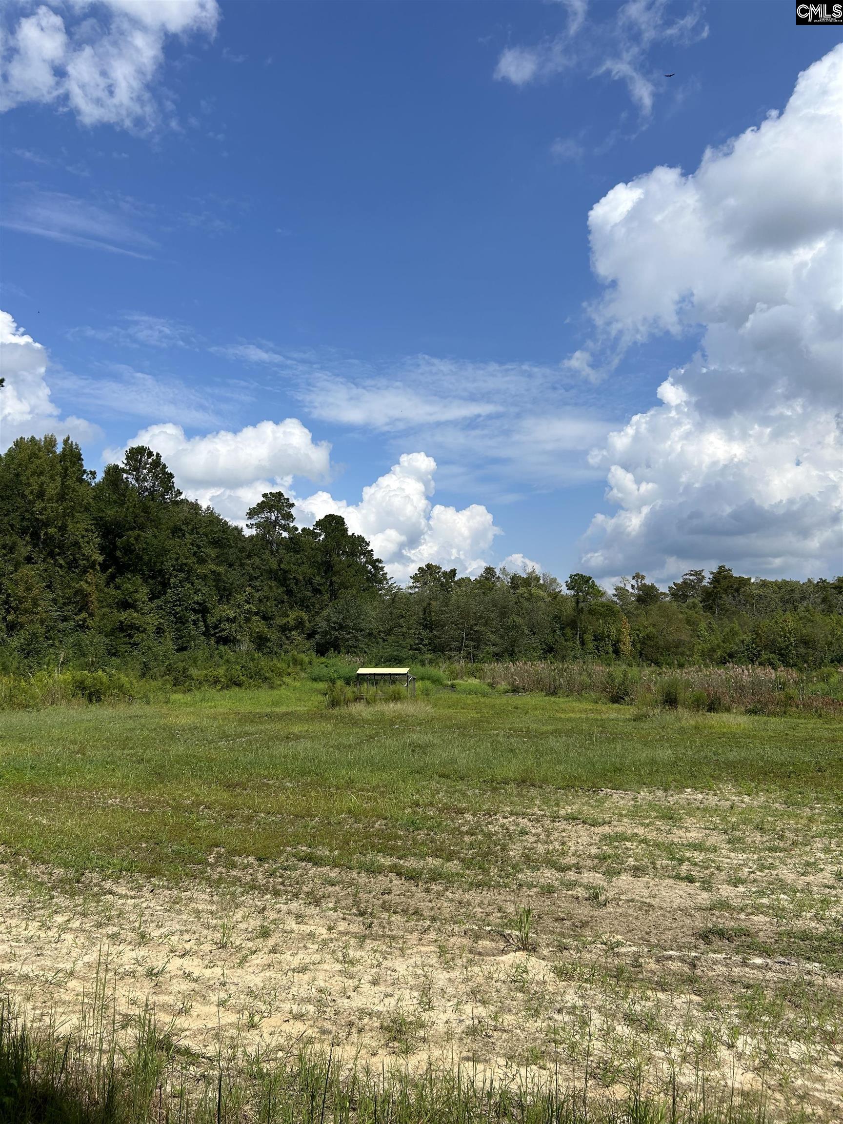 8200 Salem Road, New Zion, South Carolina image 7