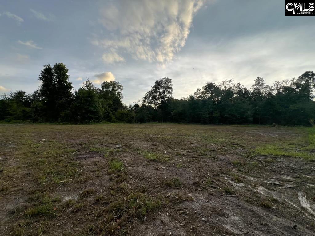 1 Old Field Road Leesville, SC 29070