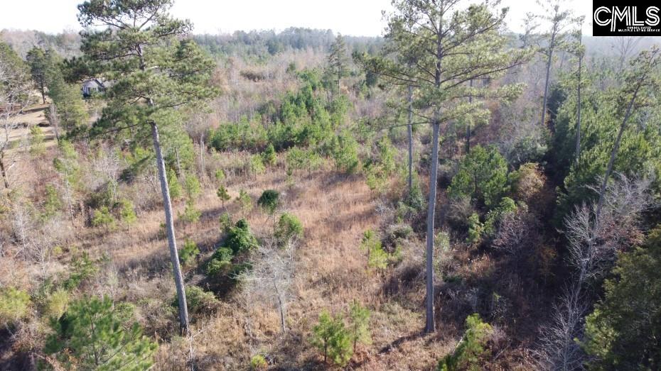 Monticello Road Winnsboro, SC 29180-8308