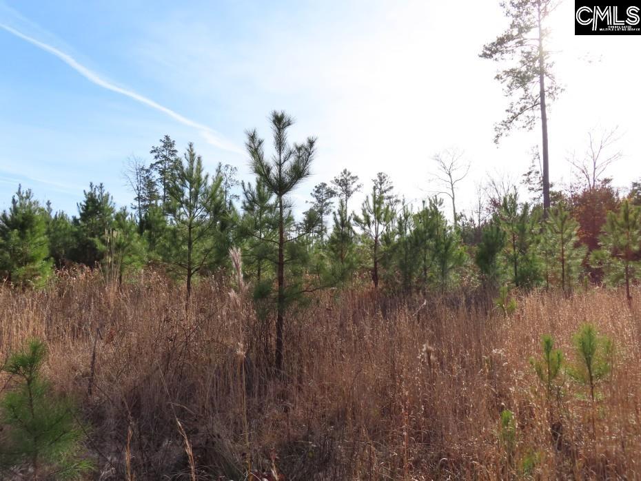 Monticello Road Winnsboro, SC 29180-8308