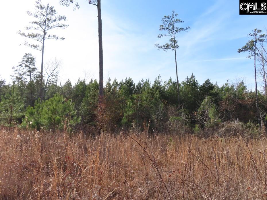 Monticello Road Winnsboro, SC 29180-8308