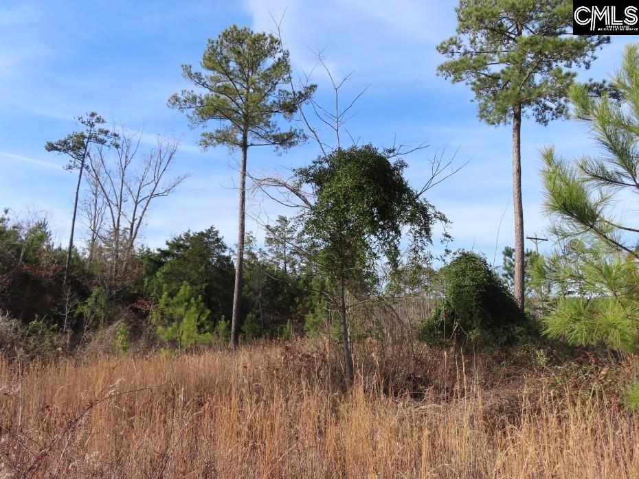 Monticello Road Winnsboro, SC 29180-8308