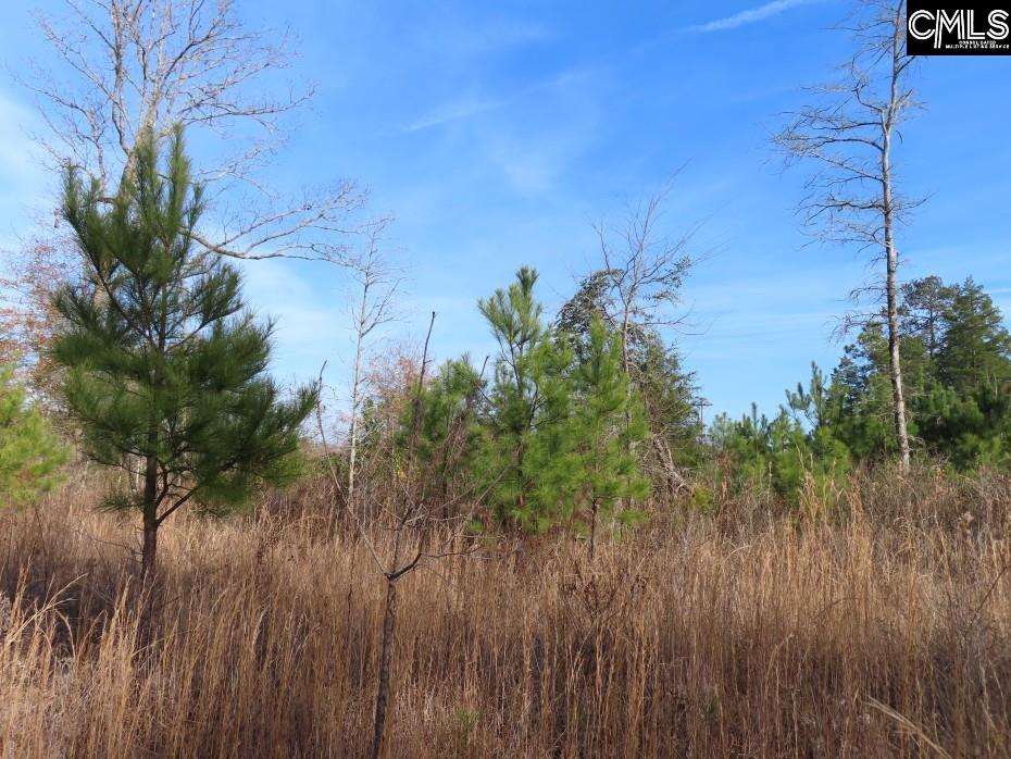 Monticello Road Winnsboro, SC 29180-8308