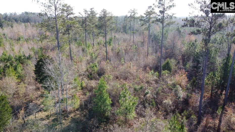 Monticello Road Winnsboro, SC 29180-8308