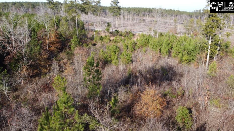 Monticello Road Winnsboro, SC 29180-8308