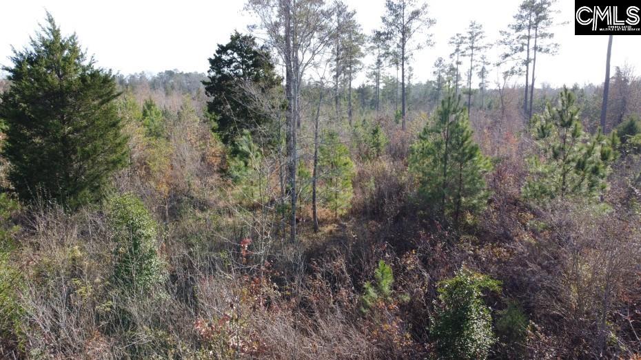 Monticello Road Winnsboro, SC 29180-8308