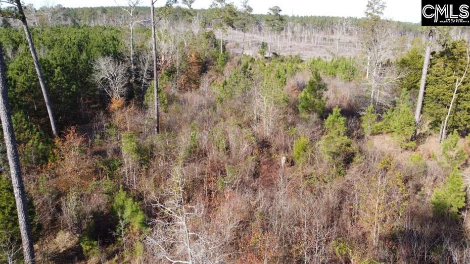 Monticello Road Winnsboro, SC 29180-8308