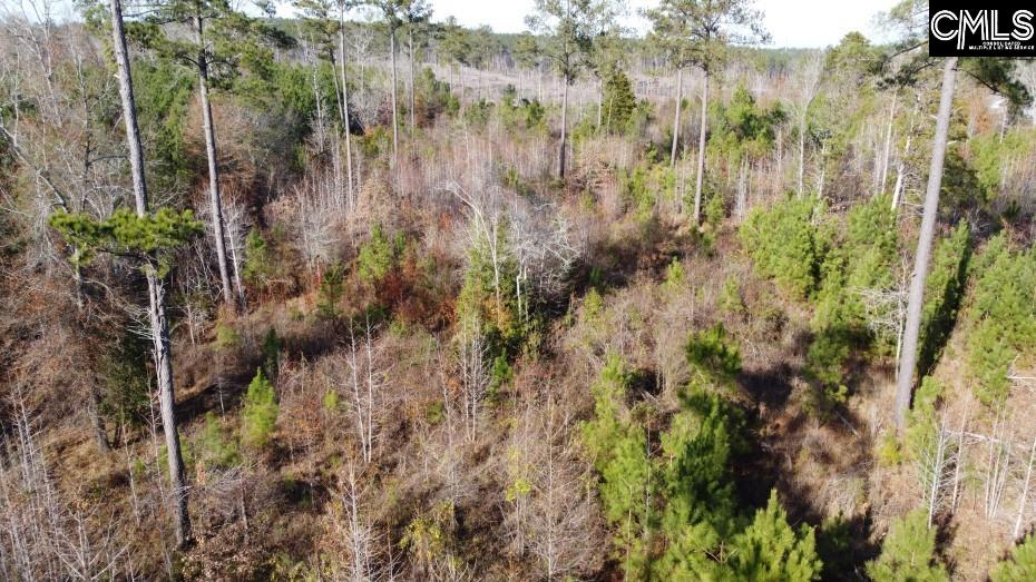 Monticello Road Winnsboro, SC 29180-8308