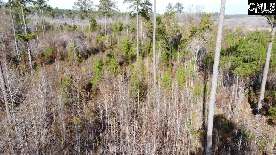 Monticello Road Winnsboro, SC 29180-8308