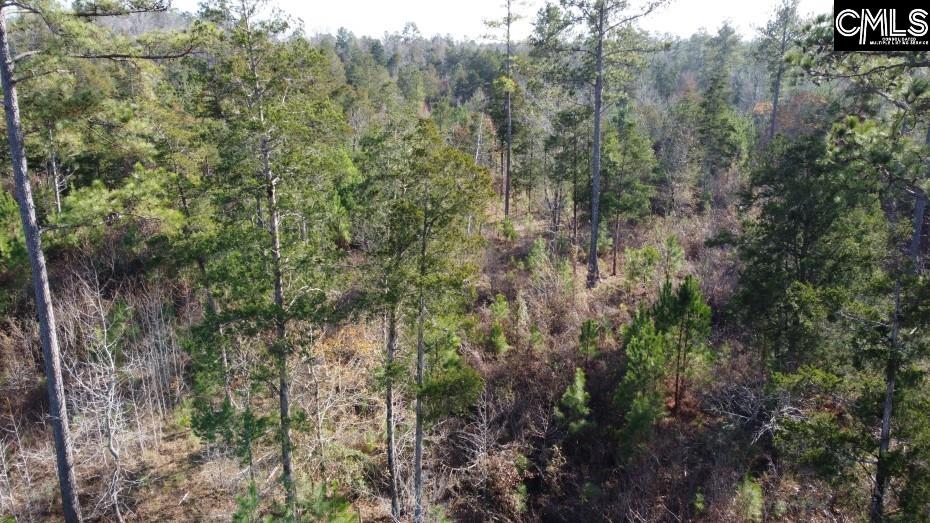 Monticello Road Winnsboro, SC 29180-8308