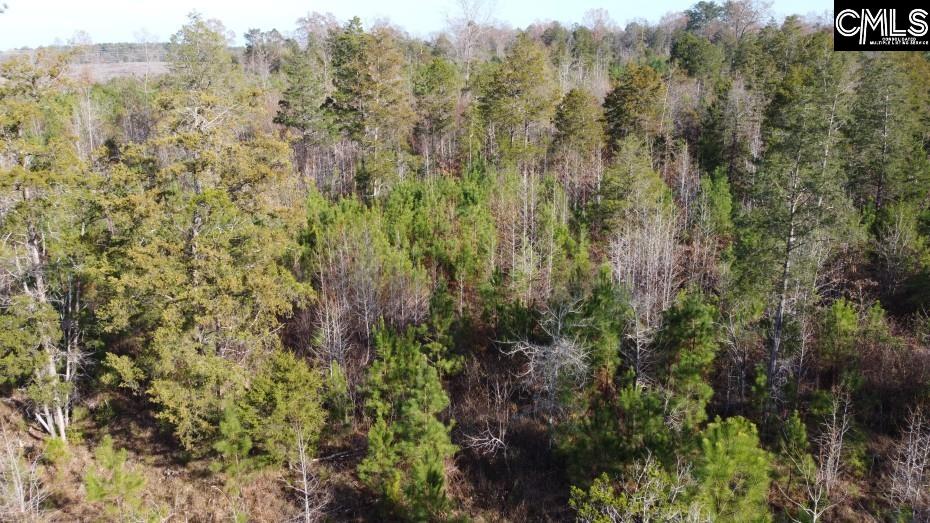 Monticello Road Winnsboro, SC 29180-8308