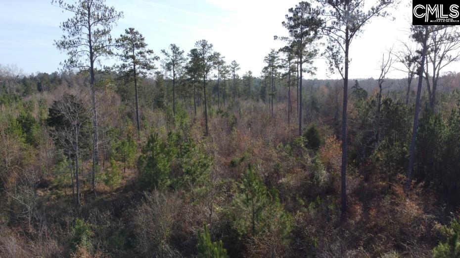 Monticello Road Winnsboro, SC 29180-8308
