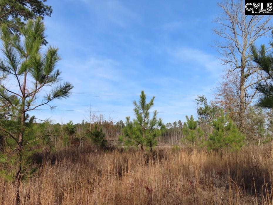 Monticello Road Winnsboro, SC 29180-8308