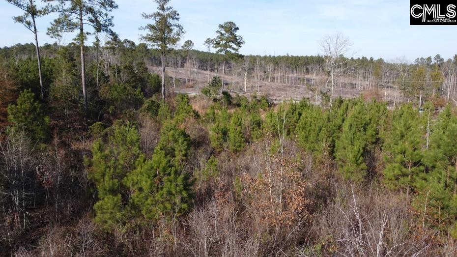 Monticello Road Winnsboro, SC 29180-8308