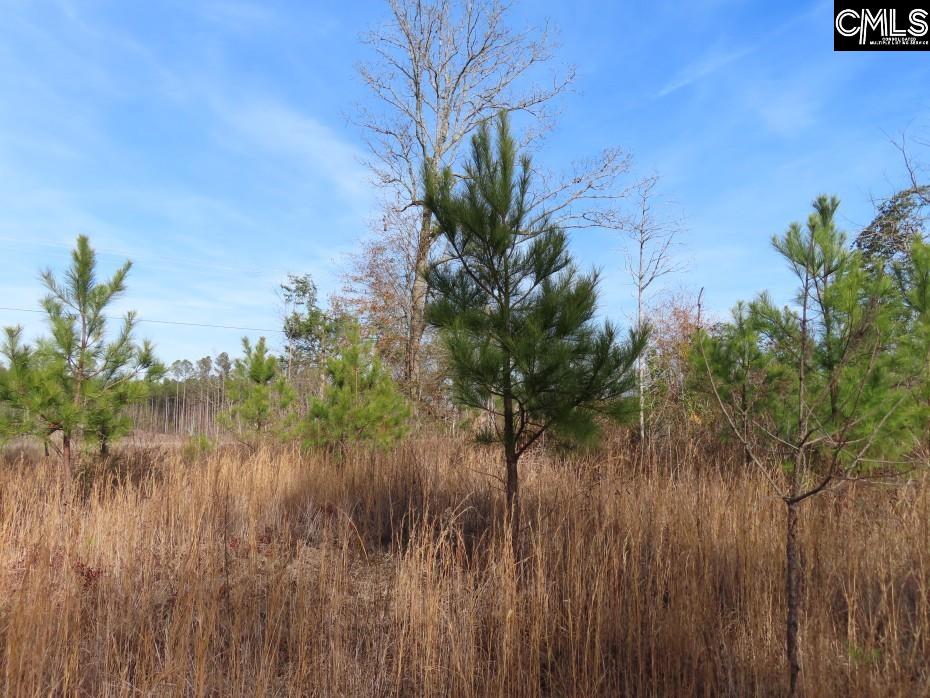 Monticello Road Winnsboro, SC 29180-8308